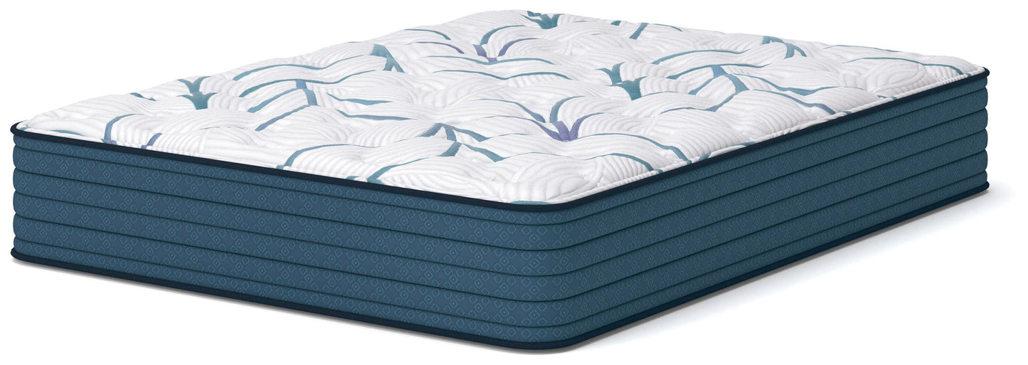 Limited Edition Plush 3.0 - Queen Mattress - White